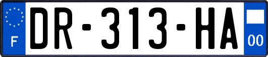 DR-313-HA