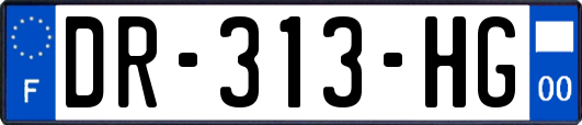 DR-313-HG