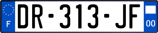 DR-313-JF