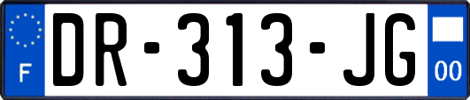 DR-313-JG