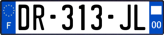 DR-313-JL