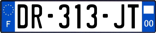 DR-313-JT