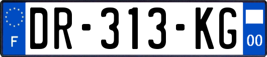 DR-313-KG