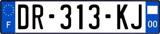 DR-313-KJ