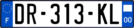 DR-313-KL