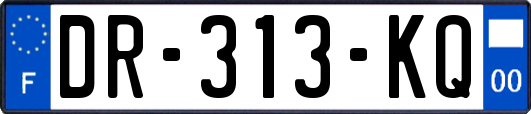 DR-313-KQ