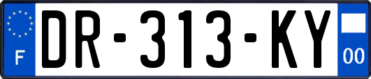 DR-313-KY