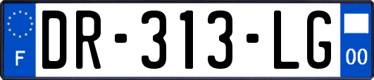 DR-313-LG