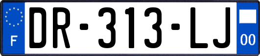 DR-313-LJ