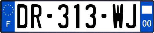 DR-313-WJ