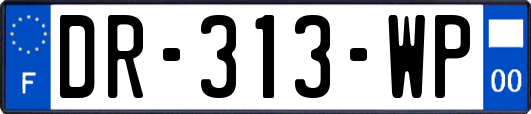 DR-313-WP