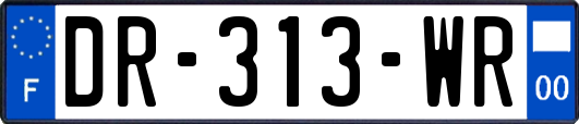 DR-313-WR