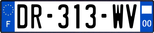 DR-313-WV