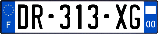 DR-313-XG