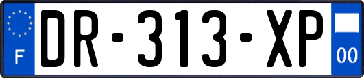 DR-313-XP