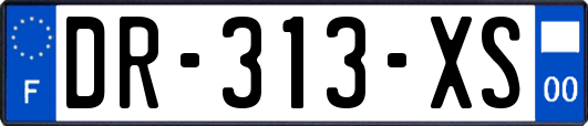 DR-313-XS