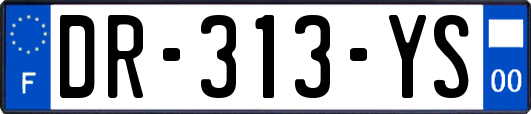 DR-313-YS