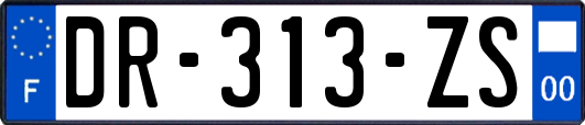 DR-313-ZS