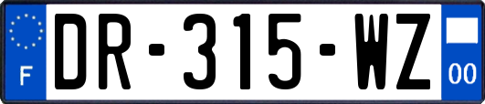 DR-315-WZ