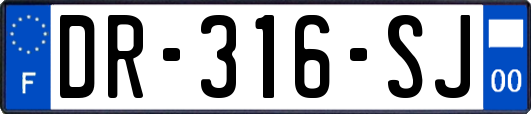 DR-316-SJ