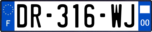 DR-316-WJ