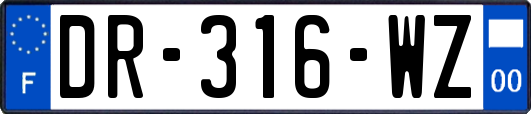 DR-316-WZ