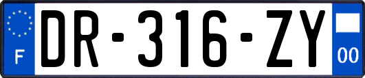 DR-316-ZY