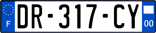 DR-317-CY