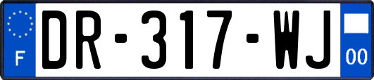 DR-317-WJ