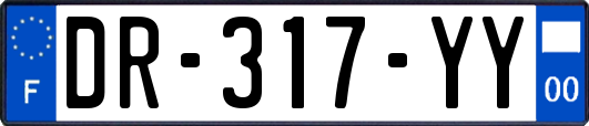 DR-317-YY