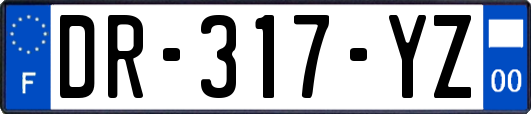 DR-317-YZ