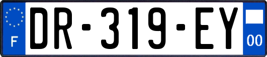 DR-319-EY