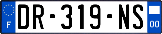 DR-319-NS