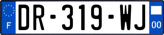 DR-319-WJ