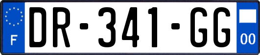DR-341-GG