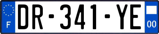 DR-341-YE
