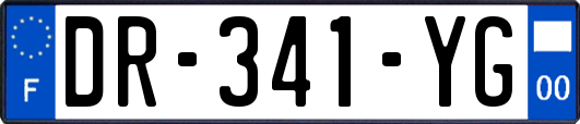 DR-341-YG