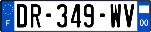 DR-349-WV