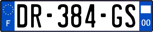 DR-384-GS