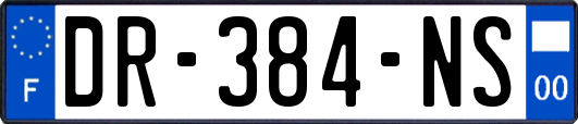 DR-384-NS