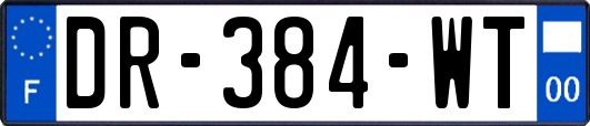 DR-384-WT