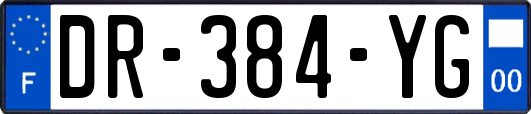 DR-384-YG