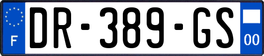 DR-389-GS