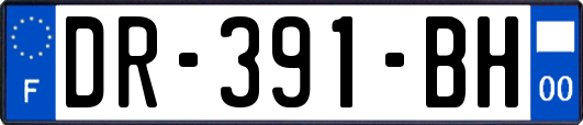 DR-391-BH
