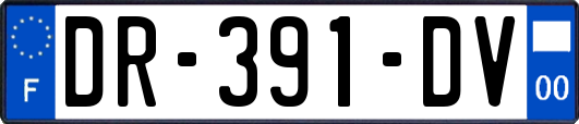 DR-391-DV
