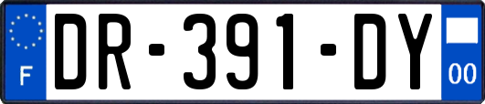 DR-391-DY