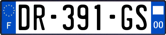 DR-391-GS