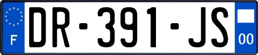 DR-391-JS