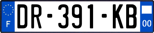 DR-391-KB