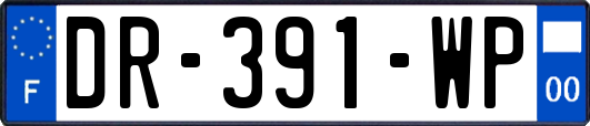 DR-391-WP